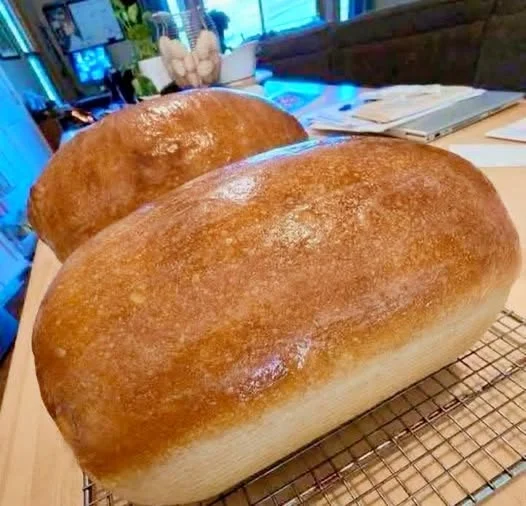 Easy Homemade Sourdough Bread Recipe